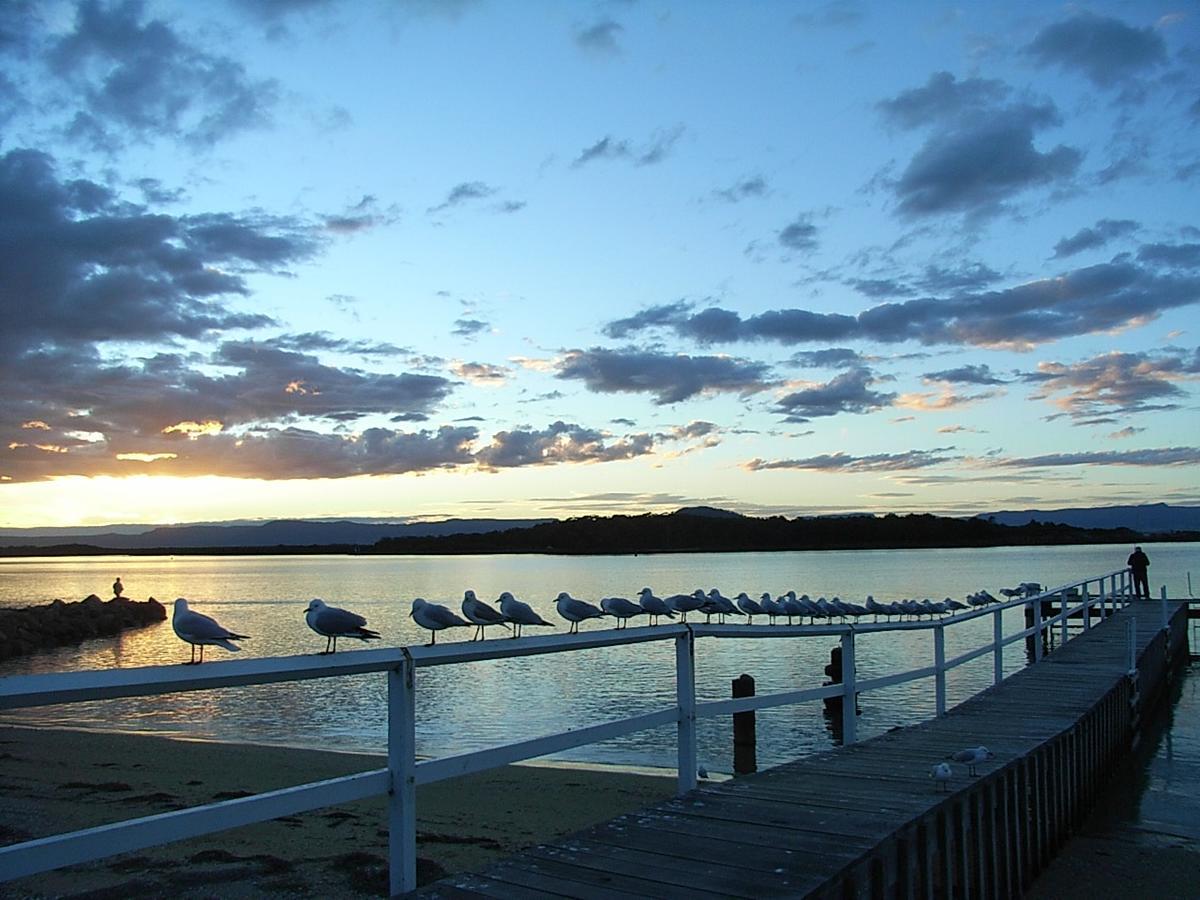 Culburra Beach Motel Exterior photo